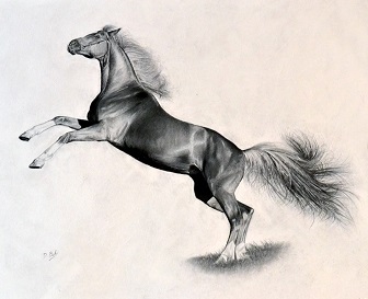 Marine Limited Edition Prints, Remarques and Oil Paintings