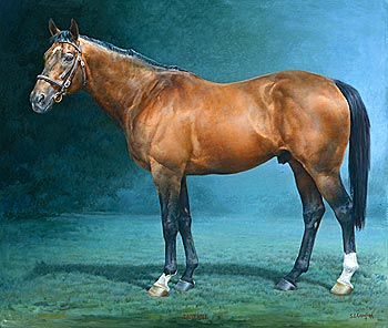 Marine Limited Edition Prints, Remarques and Oil Paintings