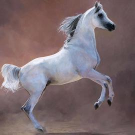 Marine Limited Edition Prints, Remarques and Oil Paintings